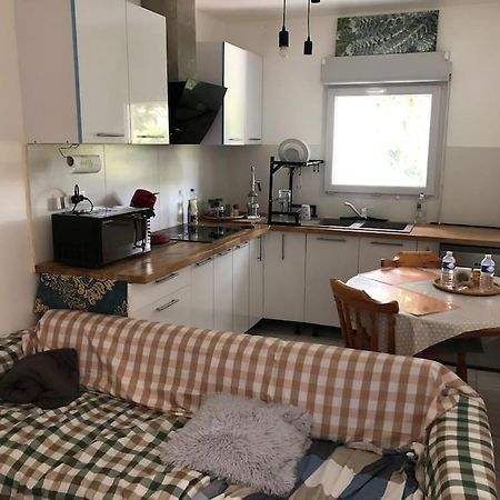 Logement Entier Entree Autonome Ch,Sdd,Cs Privatives Aussonne Extérieur photo