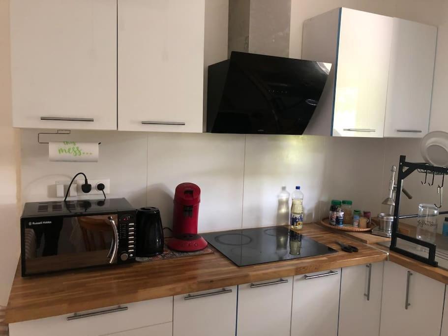 Logement Entier Entree Autonome Ch,Sdd,Cs Privatives Aussonne Extérieur photo