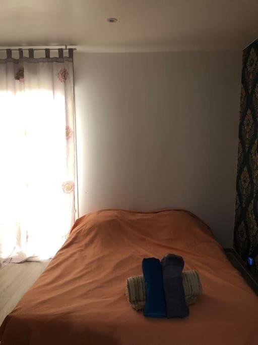 Logement Entier Entree Autonome Ch,Sdd,Cs Privatives Aussonne Extérieur photo