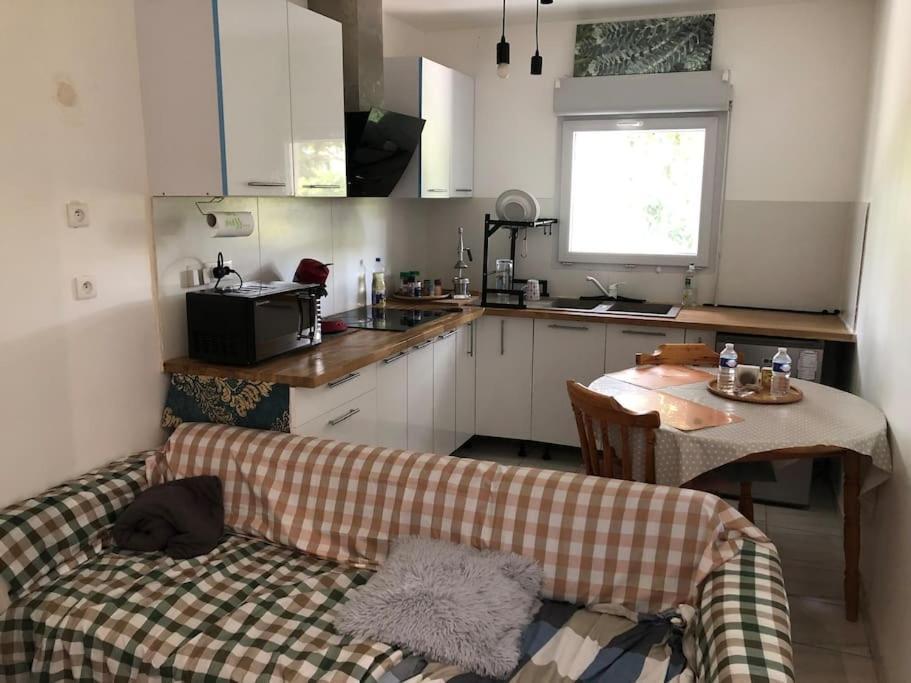 Logement Entier Entree Autonome Ch,Sdd,Cs Privatives Aussonne Extérieur photo